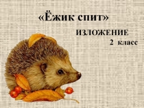 Презентация Изложение Ёжик спит