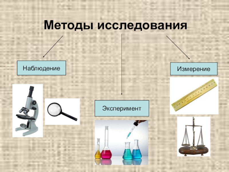 План изучения природы. Методы изучения биологии 5 класс эксперимент. Биология 5 класс методы изучения биологии. Методы исследования в биологии 5 класс. Наблюдение эксперимент измерение.