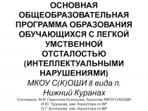 Адаптированная Основная Общеобразовательная Программа 8 вид