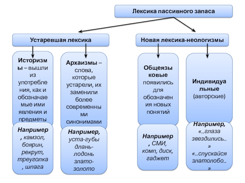 Устаревшая лексика и неологизмы