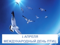Презентация по биологии  День птиц