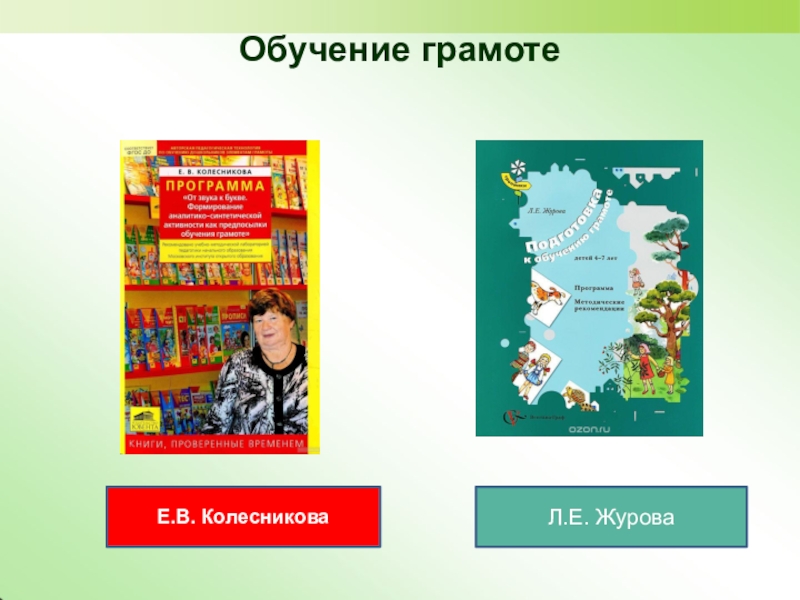 В. Журова подготовка к обучению грамоте. Е. Е. Журова обучение грамоте 5-6 лет.