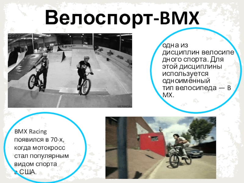 Доклад: Велоспорт