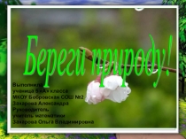 Презентация к классному часу Береги природу!