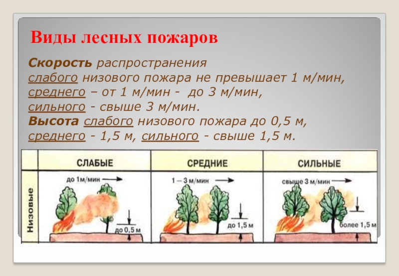 Дополните схему о видах природных пожаров