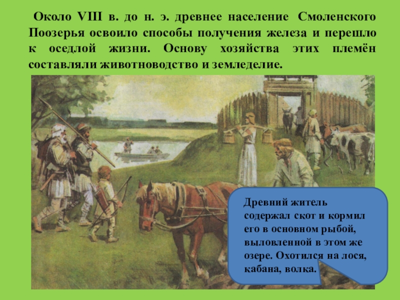 Вокруг восьми. Древнее население. Кто жил на территории Смоленского Поозерья племена.