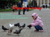 Занятие по экологии Городские птицы