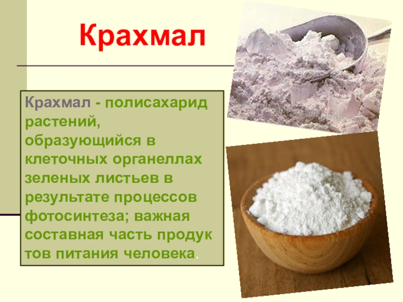 Крахмал картофельный презентация