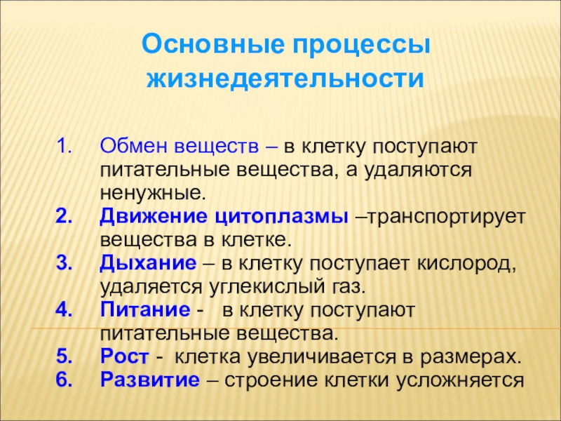 Процессы характерные для клетки. Процессы жизнедеятельности клетки. Процессы жизнедеятельности в клетк. Основные процессы жизнедеятельности клетки. Процессы жизнедеятельности клетки 5 класс биология.