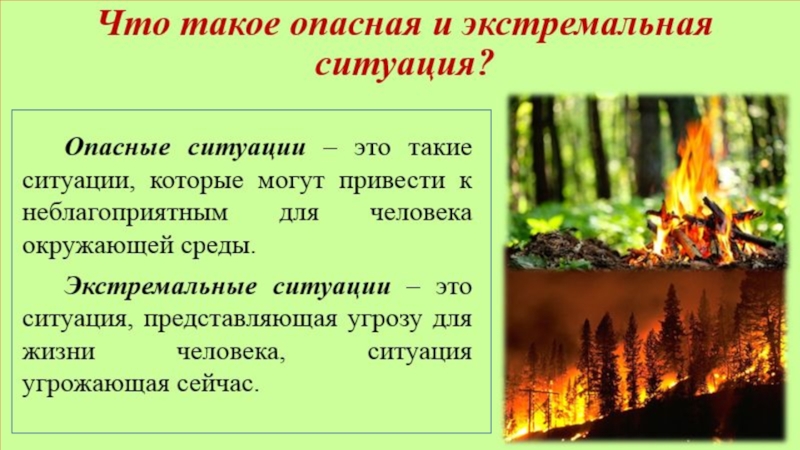 Презентация на тему поведение в экстремальной ситуации в природных условиях