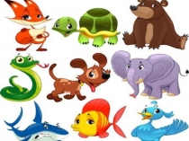 Презентация к уроку Хордовые животные