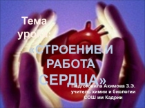 Презентация по темеРабота сердца