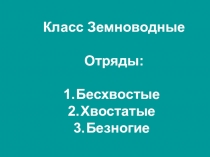 Презентация по биологии на тему Многообразие земноводных