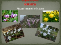 Красная книга Челябинской области - интерактивна игра с QR кодом