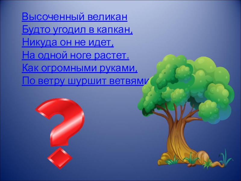 Высоченный. Загадка Высочин и великан будто угодил в капкан.