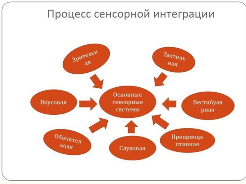 Процессы в сенсорных системах