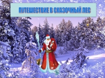 Презентация по математике Путешествие в сказочный лес (5 класс)