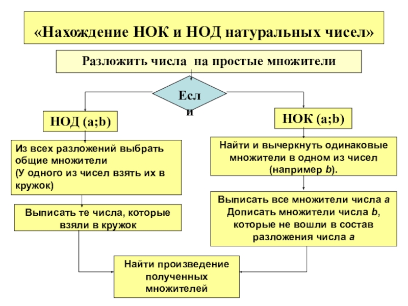 Нок и нод презентация