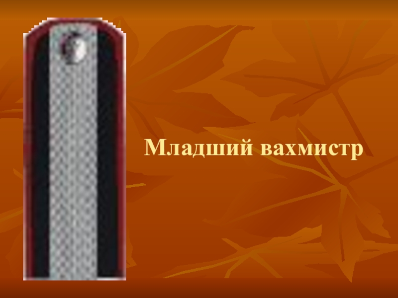 Должности в казачьих войсках. Погоны вахмистра Кубанского казачьего войска. Старший вахмистр у Казаков погоны. Казачьи погоны младший вахмистр. Чин старший вахмистр.