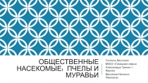 Презентация по биологии на тему Общественные насекомые (7 класс).