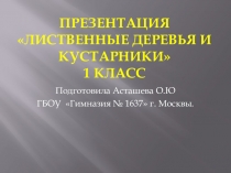 Материал к уроку окружающего мира Лиственные деревья и кустарники