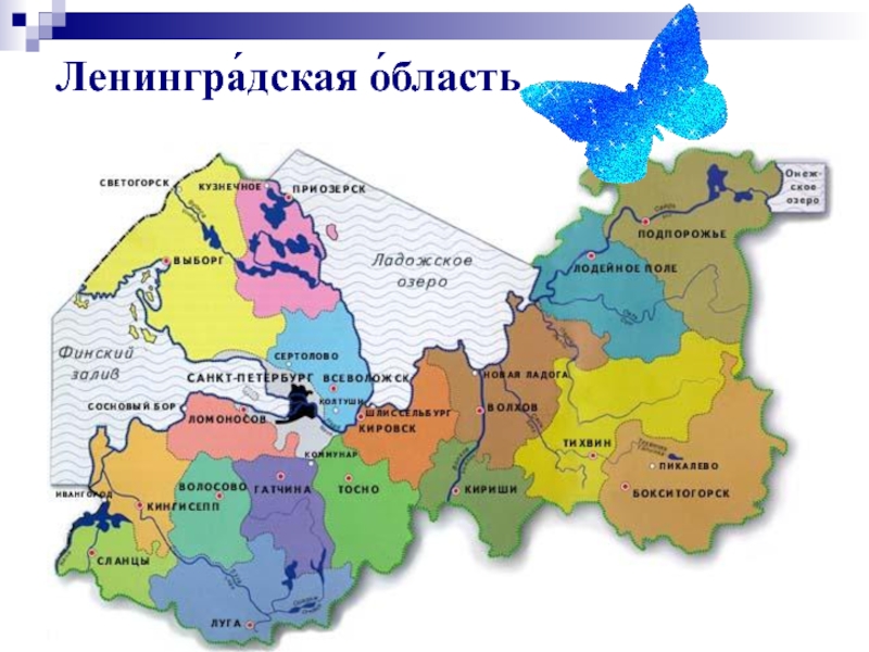 Ленинградская область карта подробная по районам