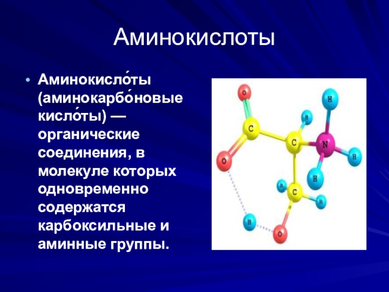 Аминокислоты и амины презентация