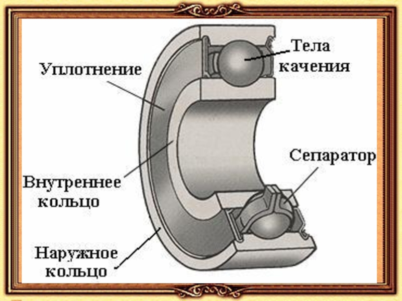 Элемент 3 изображенного на рисунке подшипника качения носит название