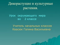 Презентация по окружающему миру на тему Дикорастущие и культурные растения (2 класс)