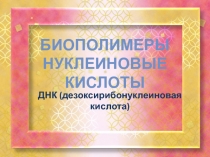 Презентация по биологии на тему Нуклеиновые кислоты. ДНК (9 класс)