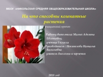 Проект На что способны комнатные растения
