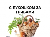 Презентация по окружающему миру на тему С лукошком за грибами. Ядовитые грибы