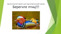 Презентация Берегите птиц! к экологическому проекту для подготовительной группы