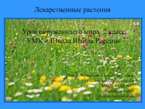 Урок окружающего мира 2 класс УМК  Школа Школа России