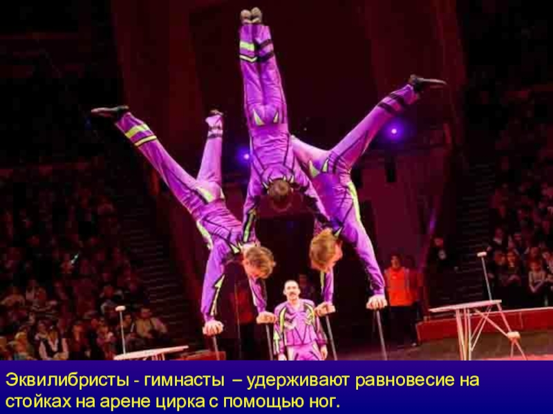 Гимнасты акробаты. Артисты цирка эквилибристы. Клоун акробат эквилибрист гимнаст. Акробаты в цирке. Воздушные гимнасты в цирке.