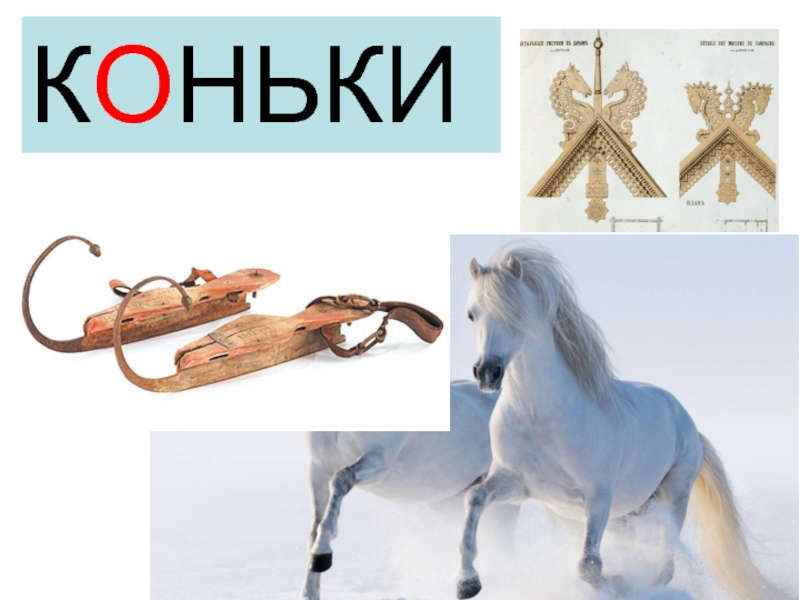 Слова конка. Слово коньки. Конь на коньках. Происхождение слова коньки. Лошадка на коньках.