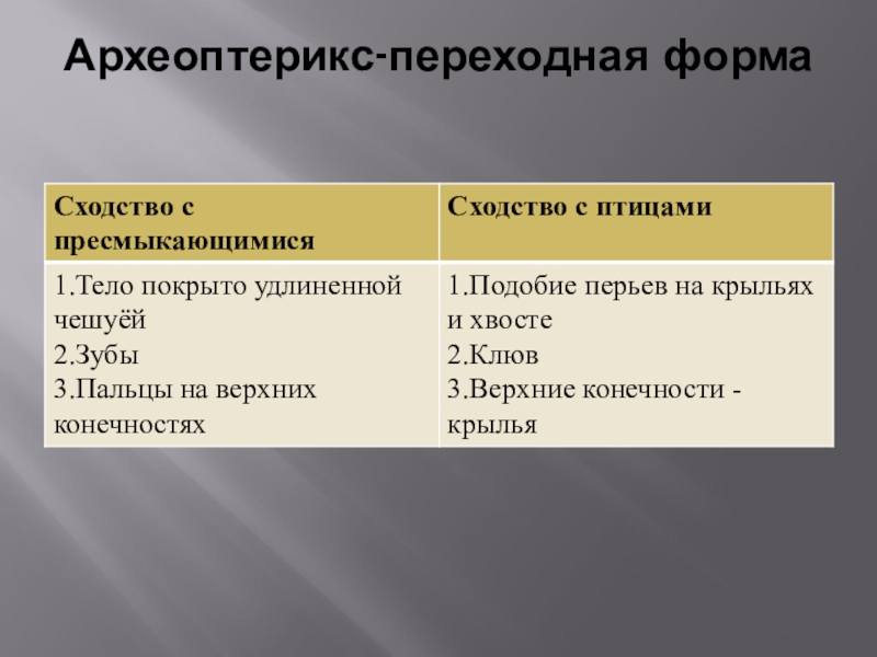 Сходство археоптерикса с рептилиями. Черты сходства археоптерикса с пресмыкающимися. Археоптерикс сходство с рептилиями и птицами. Археоптерикс сходство с пресмыкающимися и с птицами таблица. Сходство с пресмыкающимися и сходство с птицами.