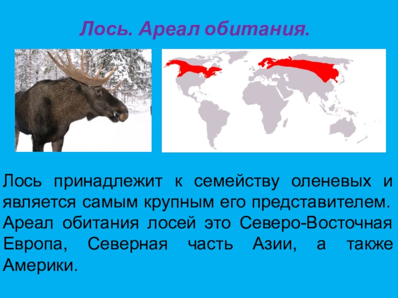 Перед вами карта евразии на которой отмечены места обитания нижеперечисленных животных белый медведь