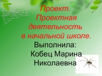 Презентация для родителей Проект. Проектная деятельность.