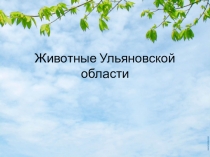Создание акмеологически ориентированной среды на уроках биологии.