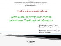 Изучение популярных сортов земляники.