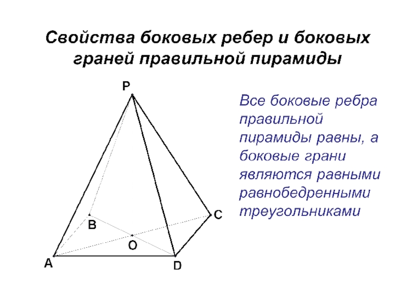 Боковые грани пирамиды прямоугольники. Свойства боковых ребер и боковых граней правильной пирамиды. Боковые грани правильной пирамиды. Свойства боковых граней правильной пирамиды. Что представляет собой боковая грань правильной пирамиды.