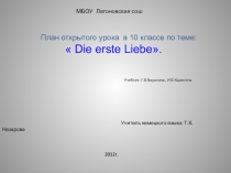 Презентация к уроку немецкого языка на тему Первая любовь