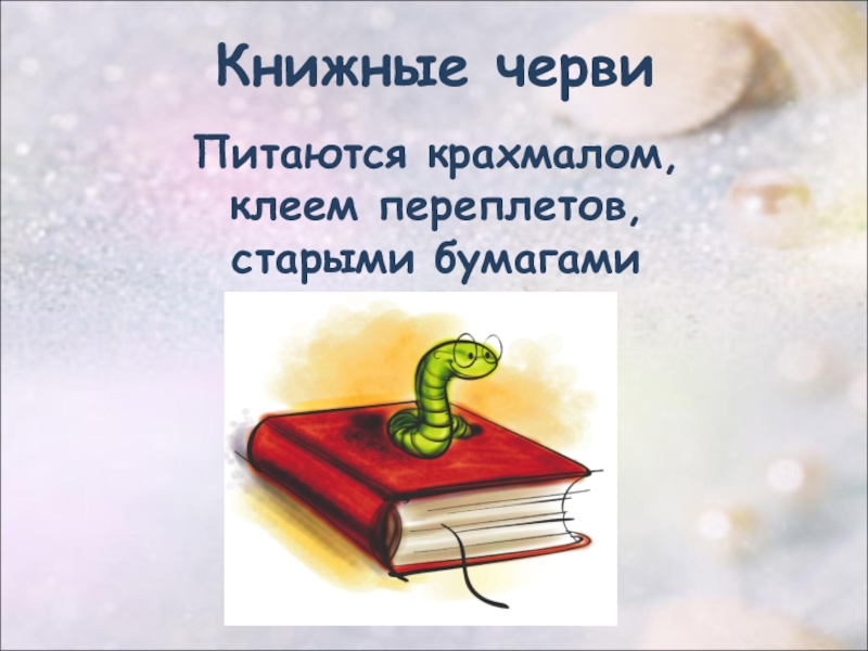 Книжном черве. Книжные черви. Книжные черви в книгах. Существуют ли книжные черви. Книжные черви откуда.