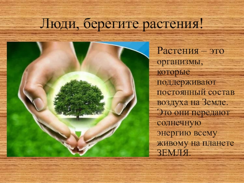 Беречь направление. Берегите растения. Берегите растения картинки. Призыв берегите растения. Берегите растения 3 класс.