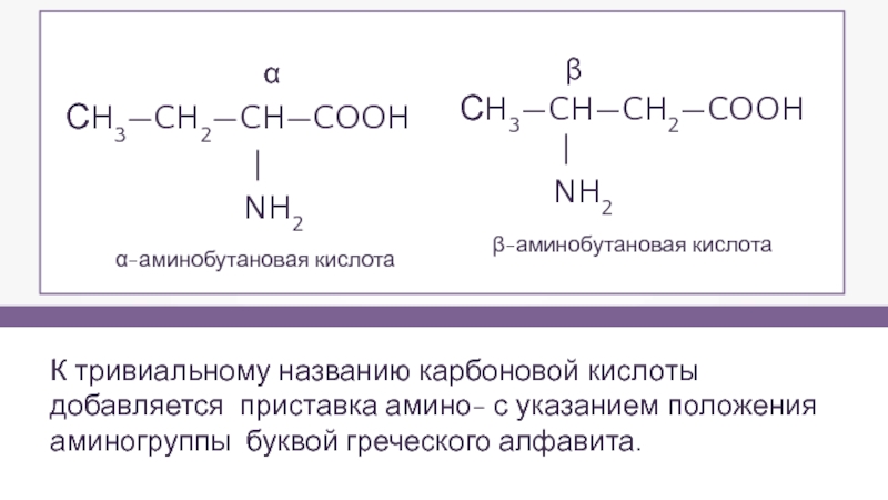 1 2 аминобутановая кислота