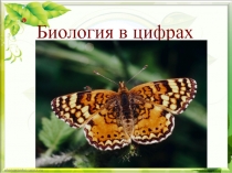 Презентация по биологииБиология в цифрах