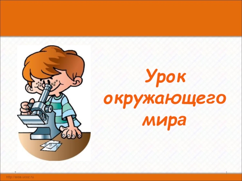 Презентация Презентация к уроку Круговорот воды в природе