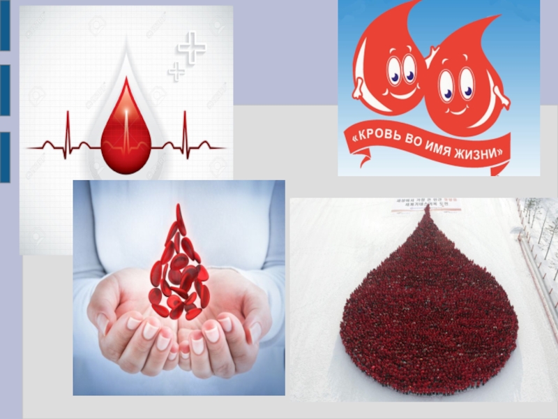 Кровь это жизнь без нее. Кровь во имя жизни. Кровь во имя жизни картинки. Служба крови буклеты. Центр крови буклет.