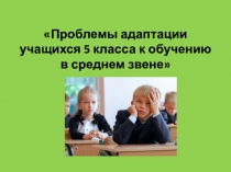 Проблемы адаптации учащихся 5 классов к обучению в среднем звене